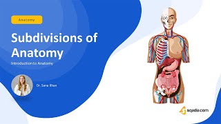 Cell Anatomy amp Physiology Cell Structure and Function Overview for Students [upl. by Towney]