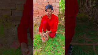 New video tik tok song video new video comedy 😁😁😄😄😢😂😁 [upl. by Caitrin310]