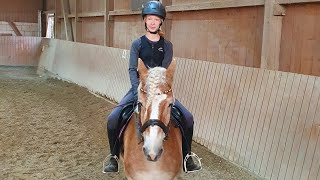 Bei meiner Reitbeteiligung Timo  war heute nicht sein bester Tag beim Reiten 🤩🐴♥️ [upl. by Ahsilek568]