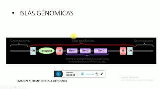 GENOMA BACTERIANO OPERONES E ISLAS DE PATOGENICIDAD [upl. by Arikihs]