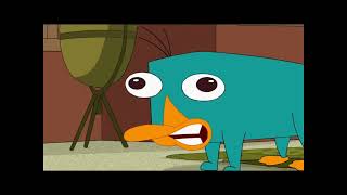 Perry the platypus growl attempt [upl. by Brock]