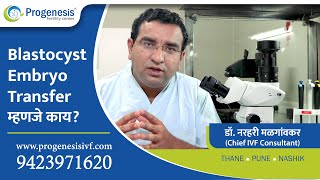 What is Blastocyst Transfer Marathi [upl. by Younger]