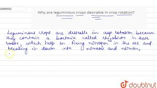 Why are leguminous crops desirable in crop rotation [upl. by Nalat]