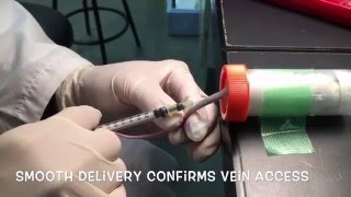 How to do intravenous tail injection in mouse [upl. by Anahs]