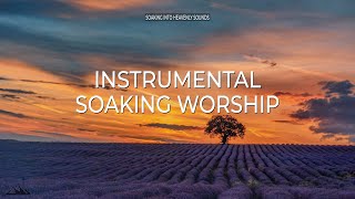 PURIFY MY HEART  INSTRUMENTAL SOAKING WORSHIP  SOAKING INTO HEAVENLY SOUNDS [upl. by Virge]