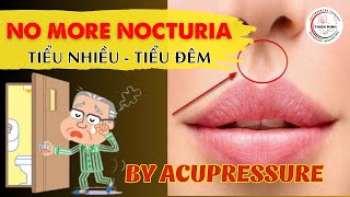 Home Remedies for Nocturia Using Acupressure Points  Acupressure Therapy [upl. by Jasun366]