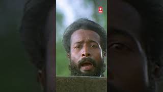 ഇത് മായയല്ല ജാലമല്ല 🤣🤣🤣🤣🤣🤣🤣🤣 films malayalam hits [upl. by Wier]