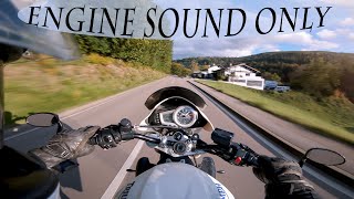 Street Triple POV Autumn spin  Triumph Street Triple 675  Leovince 32 [upl. by Jared658]