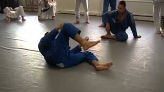 BJJ Butterfly Guard Sweep Basics [upl. by Hayidan]