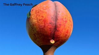 The Gaffney Peach in Gaffney South Carolina [upl. by Osithe76]