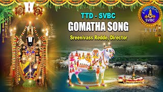 TTD  SVBC  Director Sreenivass Redde  Gomatha Song Launch in Tirumala [upl. by Templia]