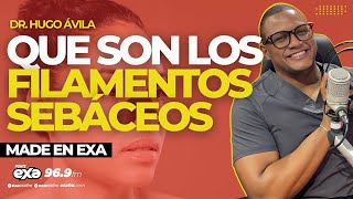 QUE SON LOS FILAMENTOS SEBÁCEOS medicinaestetica dermatologia madeenexa exafm [upl. by Assiral]