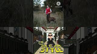 Rim Dim Tagi Dim x Gangnam Style Remix rimtimtagidim gangnamstyle [upl. by Duile]