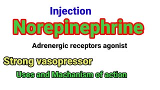 Norepinephrine uses and Machanism of action anaesthesiawithbabar2576 [upl. by Sands]