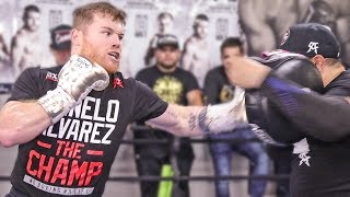 Canelo Álvarez TRAINING CAMP  FULL MEDIA WORKOUT  Canelo vs Kovalev [upl. by Grieve]