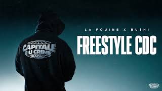 La Fouine  Freestyle CDC ft BUHI Visualizer [upl. by Alegnasor]