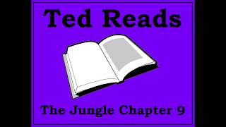 The Jungle Upton Sinclair Chapter 9 [upl. by Coralyn]