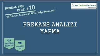 Sıfırdan SPSS Ders 10 Frekans Analizi Yapma [upl. by Bazil]