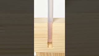 Screw into silicone construction woodworking [upl. by Karyn]