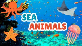 Sea Animals and Sea Creatures  Learning Aquatic Animals Names for Kids kids viralvideo youtube [upl. by Primaveras]