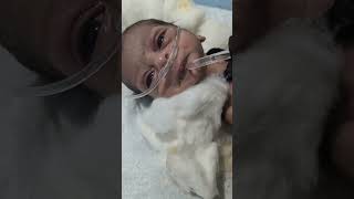 Giving medicine to a newborn baby youtubeshorts nursing sumitnicunursingstm newbornbaby viral [upl. by Artenak]