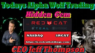 CEO Jeff Thompson Red Cat Holdings Explains Recent Filing RCAT Small Cap Impact Stock [upl. by Wernsman]