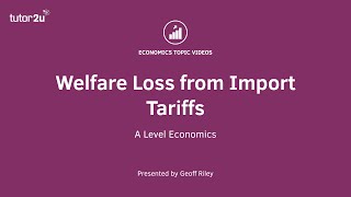 Welfare Loss from Import Tariffs  A Level and IB Economics [upl. by Oiramd]