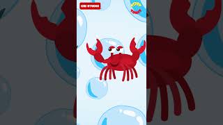 Sea Animal Names  Kids Videos for Kids  Water Animal Names  Cartoon  Toddler Videos  Preschool [upl. by Ahtinak332]