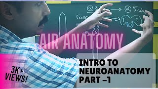 Intro to Neuroanatomy 1st of 4 videos  Air Anatomy [upl. by Anifad942]