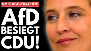 💥PAUKENSCHLAG AfD BESIEGT CDU WEIDEL ÜBERNIMMT KANZLERAMT MERZ IN PANIK💥 [upl. by Caressa]