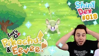 AGGRESSIVE SHINY RATTATA in POKÉMON LETS GO PIKACHU AND EEVEE [upl. by Siseneg]