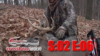 15 Point Buck Crossbow Hunt [upl. by Barnaby547]