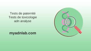 POLYMORPHISME biologie Polymorphisme génétique humain [upl. by Inalan]