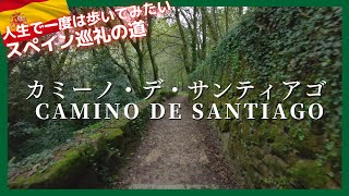 スペイン巡礼の道【カミーノ・デ・サンティアゴ 】ポルトガルからの道 Camino de Santiago 2023 Camino de Portugal [upl. by Ethben571]