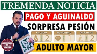 🔥💥TREMENDA NOTICIA PAGO Y AGUINALDO💥SORPRESA PENSION ADULTOS MAYORES💥 [upl. by Eiral]