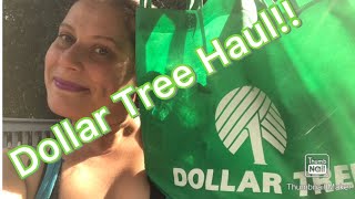 Large Dollar Tree Haul 🛍️ plus Walkthrough bonus January 25 2024 [upl. by Einiffit]