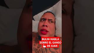 EL PEJE GORDO 🐠 HABLA DE GANSOS 🦢 DE JUAN bulin47 [upl. by Bina]