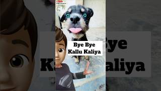 Miss You Kallu Kaliya 🥹  minivlog [upl. by Tsenre]