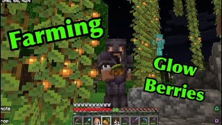 Minecraft Glow Berry and Glow Berries Farm [upl. by Nafis]