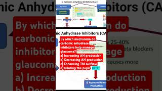 By which mechanism do carbonic anhydrase inhibitors help manage glaucoma glaucomaresearch [upl. by Fermin]