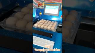 Fully Automatic Egg Packaging Machine  Safe Shockproof Design Easily Handles Eggs shrotswrapping [upl. by Ias]