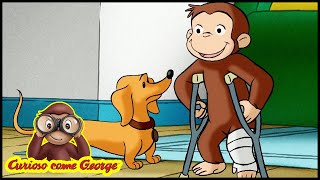 Curioso come George 🐵126 A Spasso con Hundley 🐵 Cartoni Animati per Bambini 🐵 Stagione 1 [upl. by Nyladnewg]