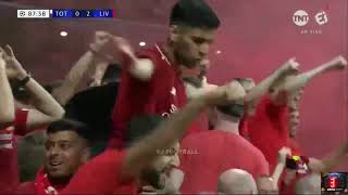 LATE GOAL of Divock Origi Liverpool v Tottenham at 87 ／ 201819 UCL final [upl. by Pufahl]