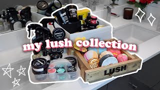 my entire lush collection ✨ 2019 [upl. by Hole237]