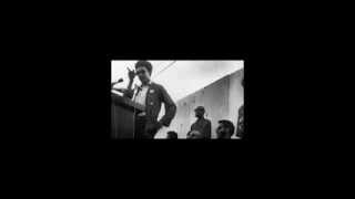 H Rap Brown  The Politics of Education [upl. by Dott]