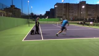 Ferrer Tennis Academy  Competiton amp High Performance Trainning [upl. by Orson]