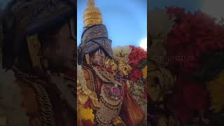 tirumala tirupathi temple videos  Balaji Travels [upl. by Aicela774]