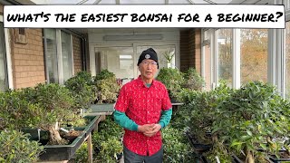 What is the Easiest Bonsai for a Beginner [upl. by Anwahsad465]