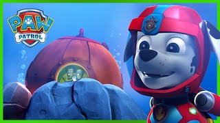 Marshall salva i Turbots  PAW Patrol I cuccioli Episodi Italiano  Pup Tales [upl. by Flavius]