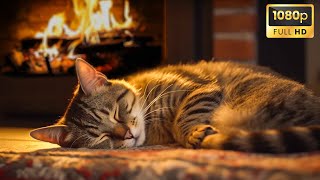 Relaxing with Purring Cat Crackling Fireplace 🔥 Deep Sleep in Cozy Ambience Stress Relief [upl. by Alleunam]